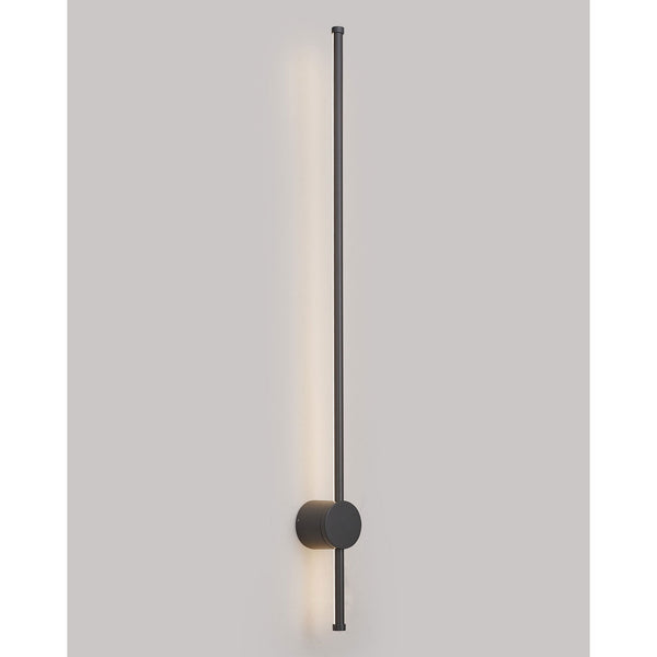 Rayleigh 97cm Outdoor Linear IP54 LED Wall Light in Dark Grey
