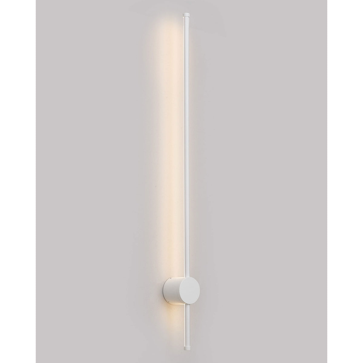 Rayleigh 97cm Outdoor Linear IP54 LED Wall Light in White