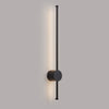 Rayleigh 65cm Outdoor Linear IP54 LED Wall Light in Black