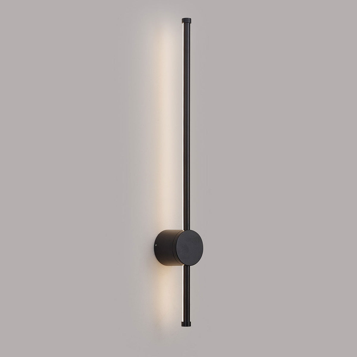 Rayleigh 65cm Outdoor Linear IP54 LED Wall Light in Black