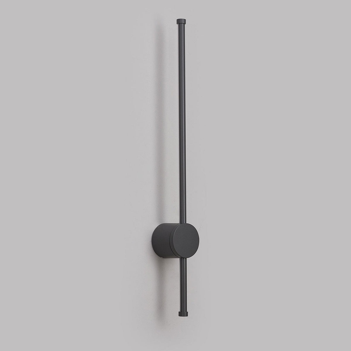 Rayleigh 65cm Outdoor Linear IP54 LED Wall Light in Dark Grey