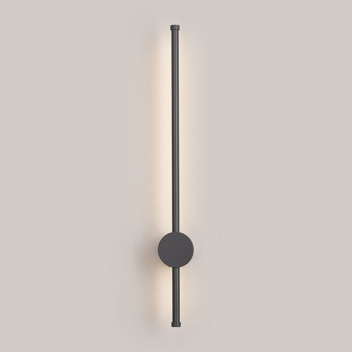 Rayleigh 65cm Outdoor Linear IP54 LED Wall Light in Dark Grey