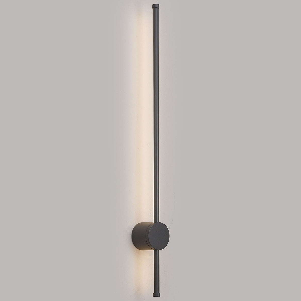 Rayleigh 81cm Outdoor Linear IP54 LED Wall Light in Dark Grey