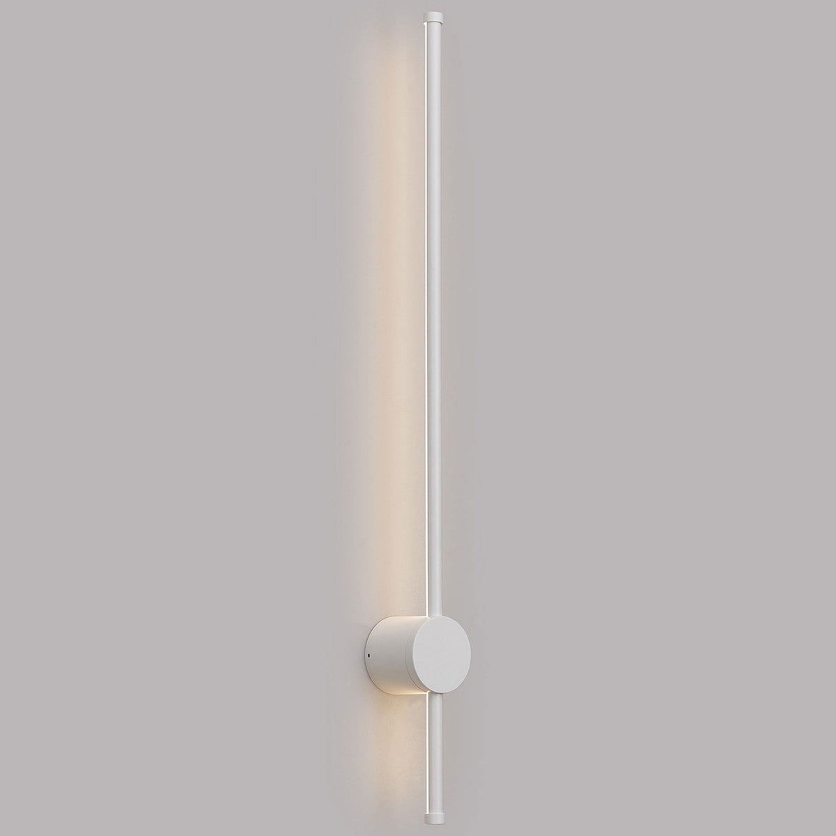 Rayleigh 81cm Outdoor Linear IP54 LED Wall Light in White