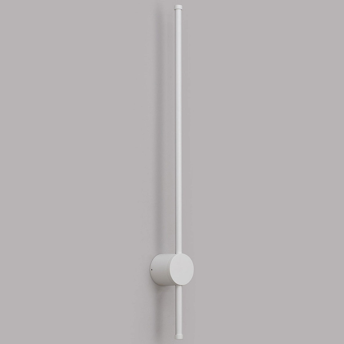 Rayleigh 81cm Outdoor Linear IP54 LED Wall Light in White