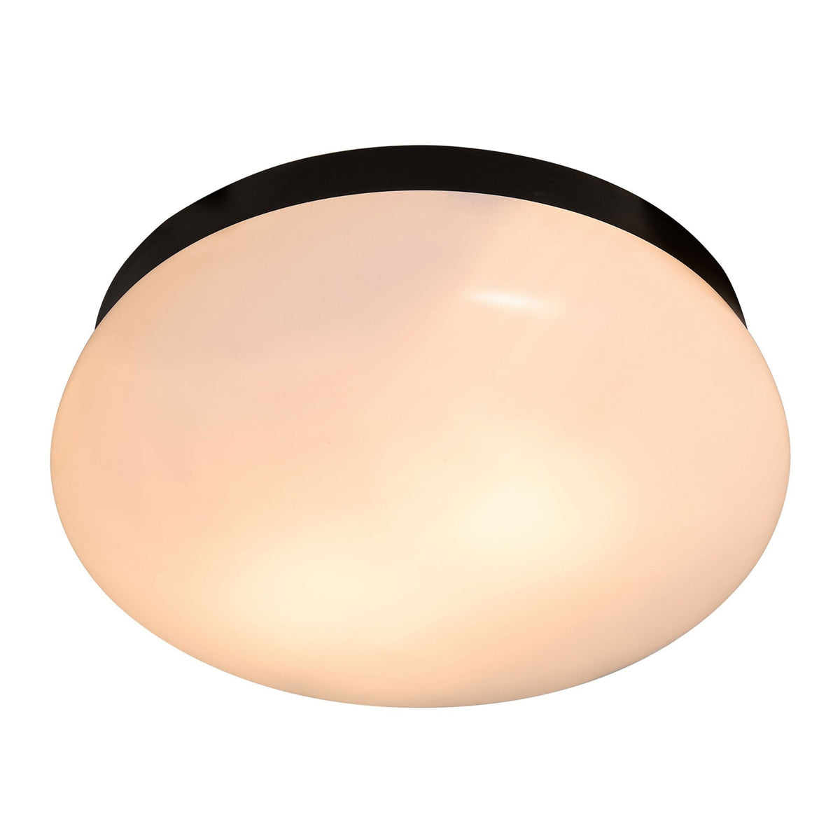 Foam IP44 Bathroom Ceiling Light in Black with Opal Diffuser