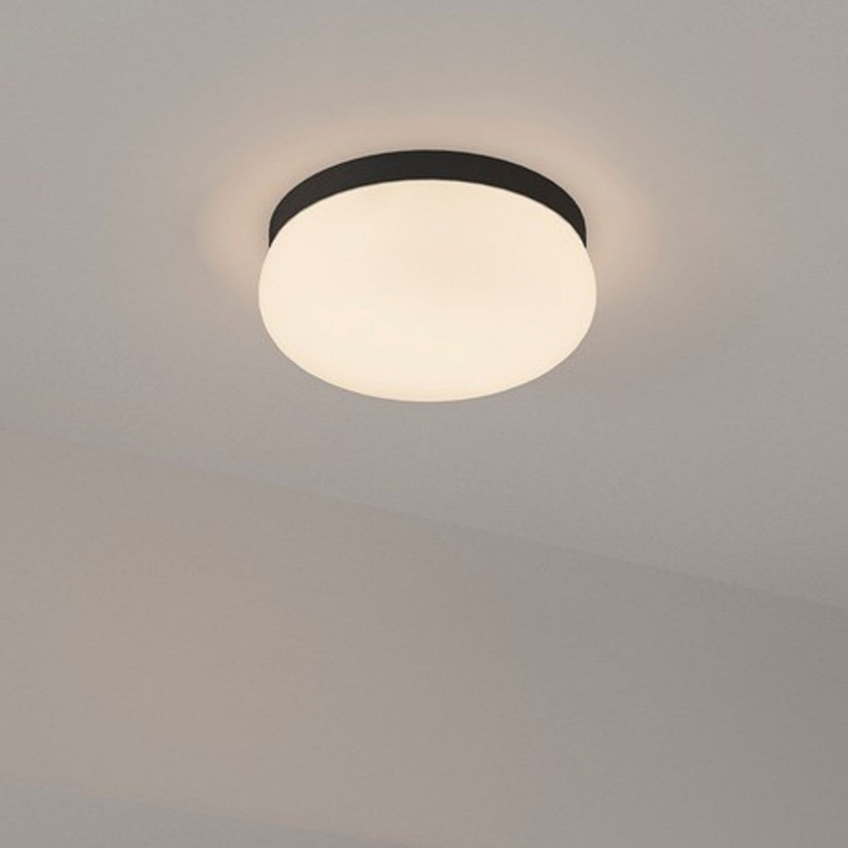 Foam IP44 Bathroom Ceiling Light in Black with Opal Diffuser