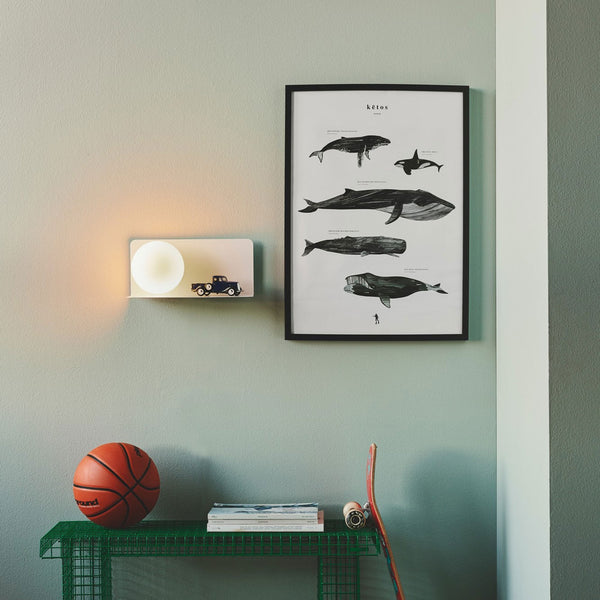 Lilibeth Shelf Plugged Wall Light In White with Opal Glass Shade