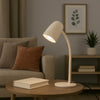 Carlo Modern Steel Flexible Desk Lamp in a Sandy Finish