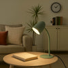 Carlo Modern Steel Flexible Desk Lamp in a Green Finish