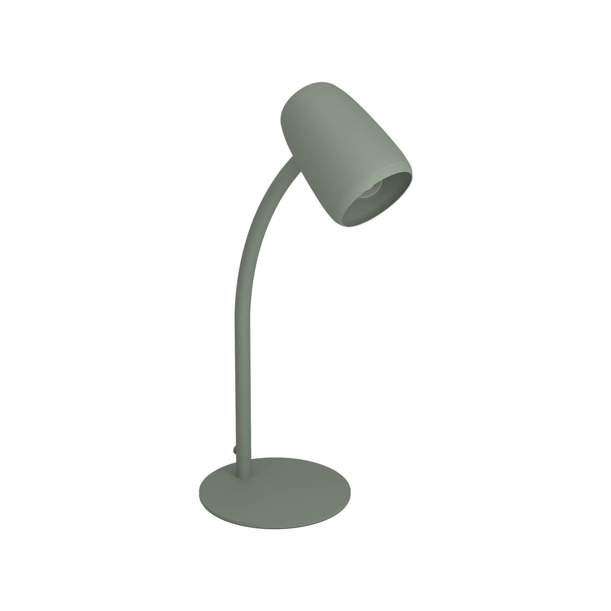 Carlo Modern Steel Flexible Desk Lamp in a Green Finish