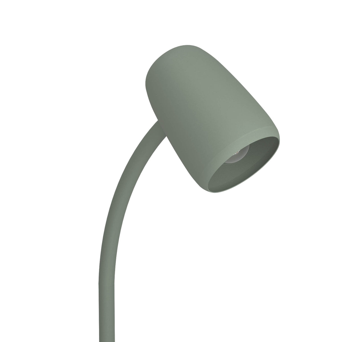 Carlo Modern Steel Flexible Desk Lamp in a Green Finish