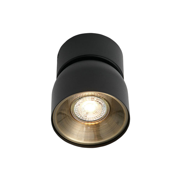 Pitcher Surface Mounted Adjustable Downlight In Black