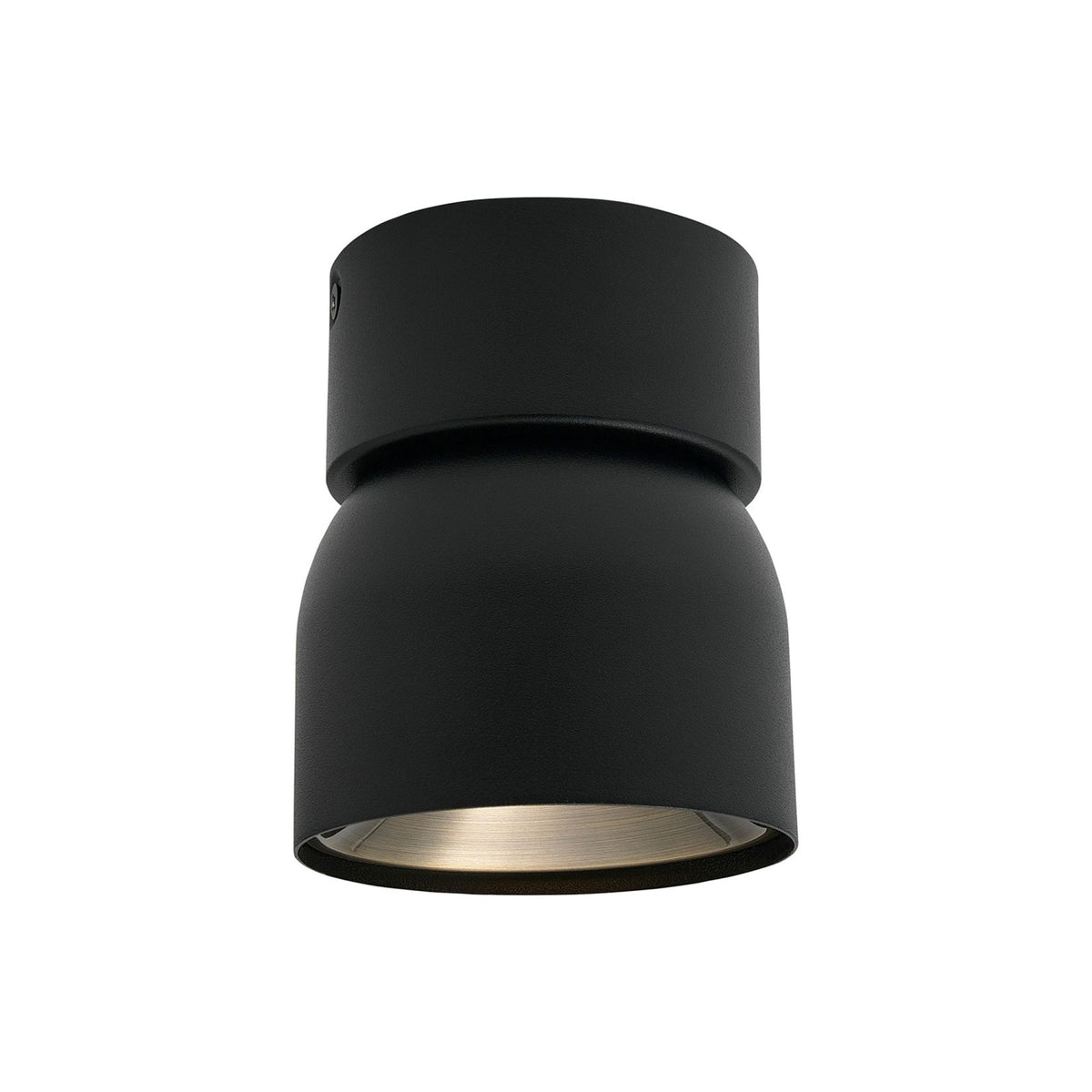 Pitcher Surface Mounted Adjustable Downlight In Black