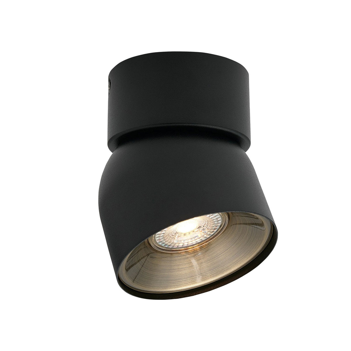 Pitcher Surface Mounted Adjustable Downlight In Black