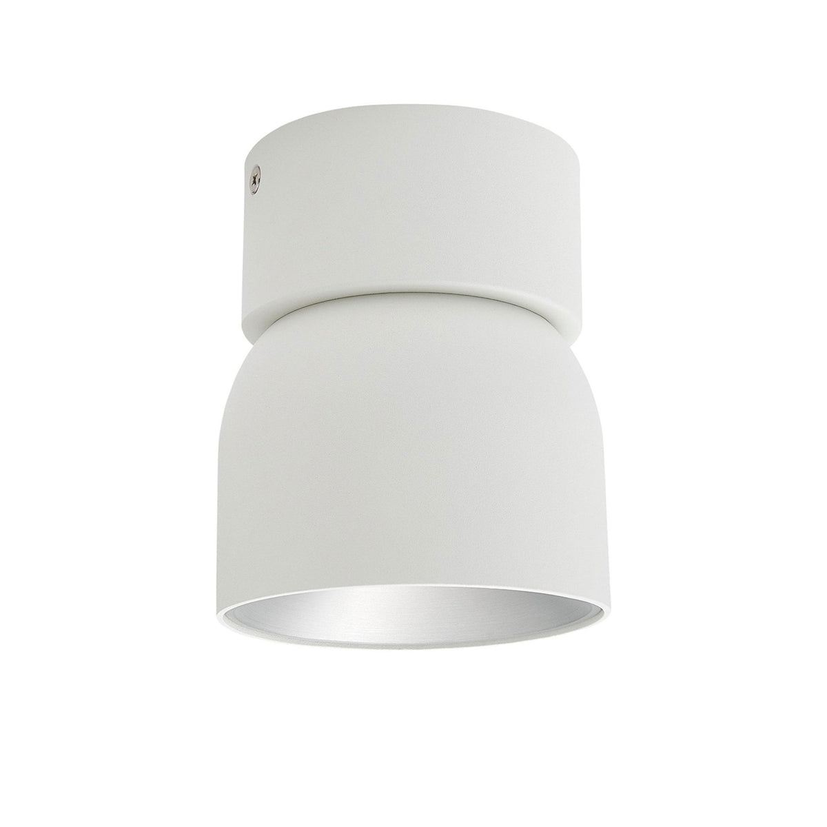 Pitcher Surface Mounted Adjustable Downlight In White
