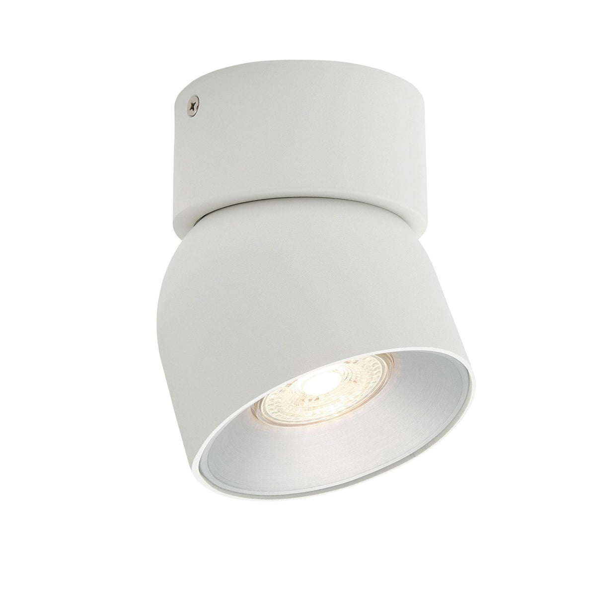Pitcher Surface Mounted Adjustable Downlight In White