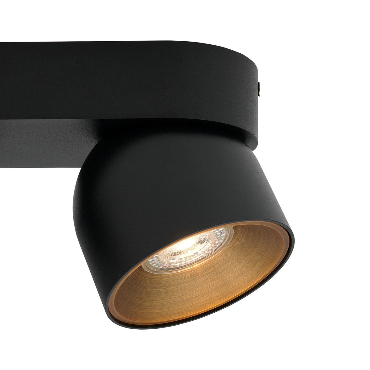 Nordlux Pitcher Surface Mounted Adjustable Twin Downlight in Black with a gold interior