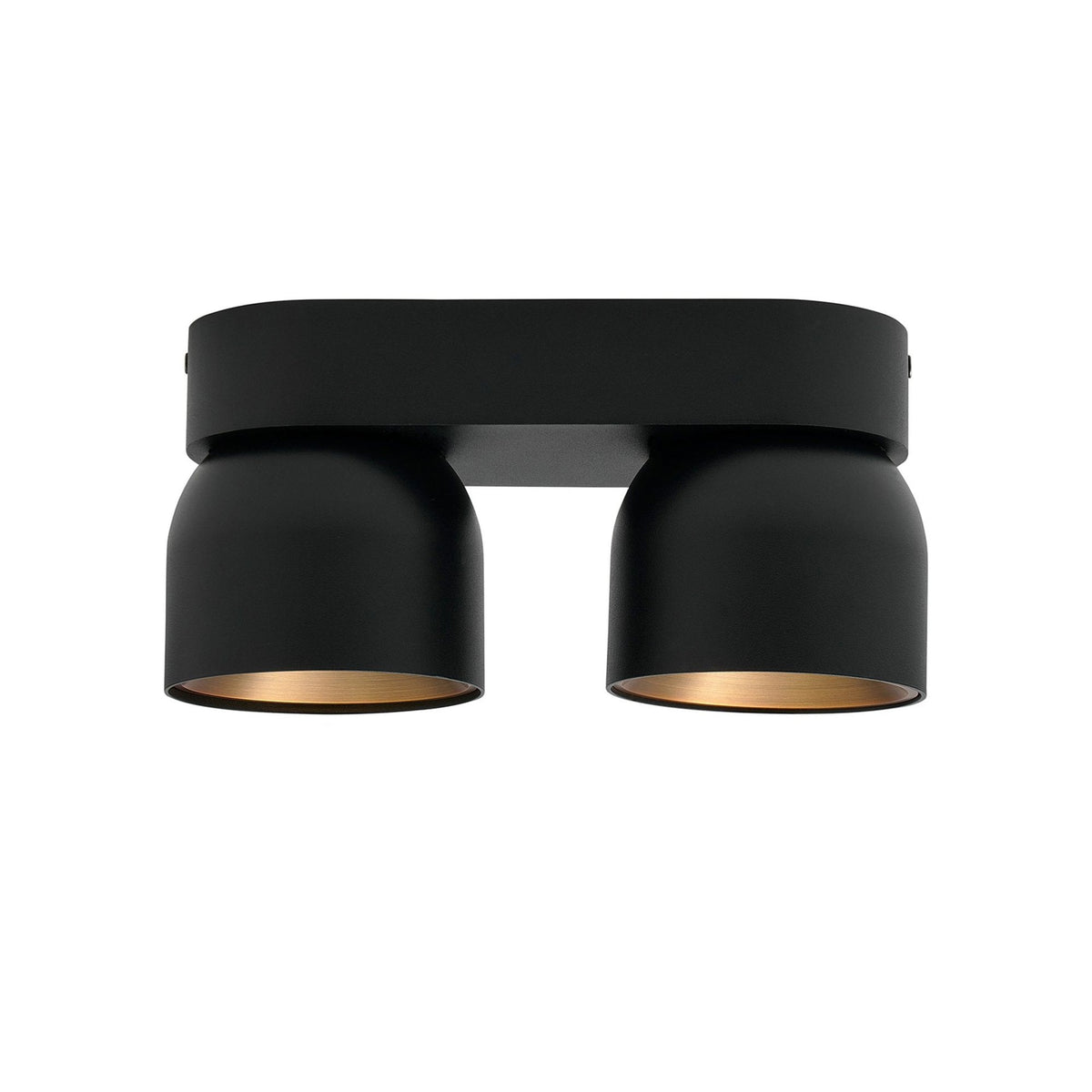 Pitcher Surface Mounted Adjustable Twin Downlight In Black