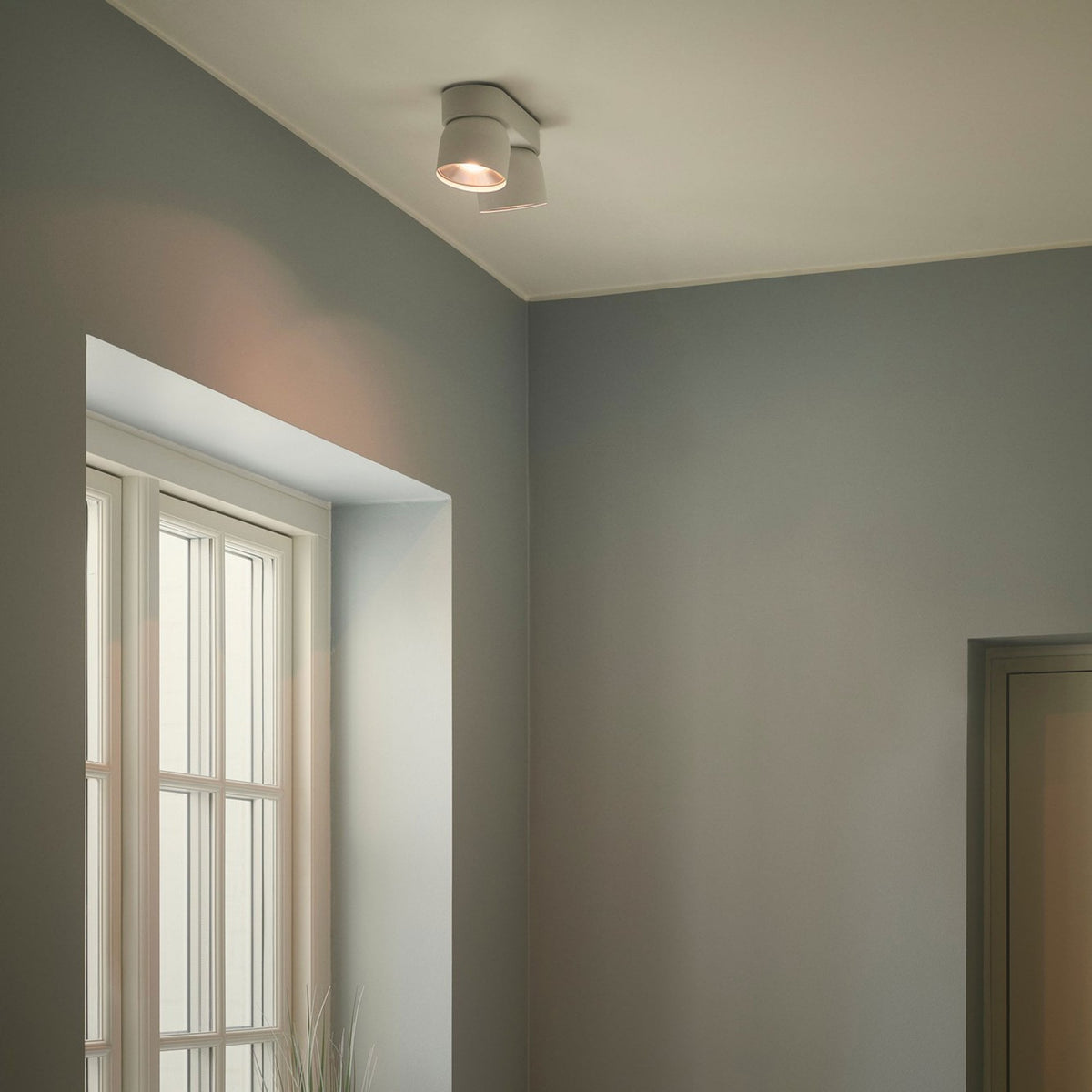 Pitcher Surface Mounted Adjustable Twin Downlight In White