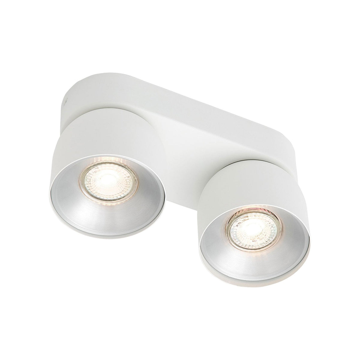 Pitcher Surface Mounted Adjustable Twin Downlight In White