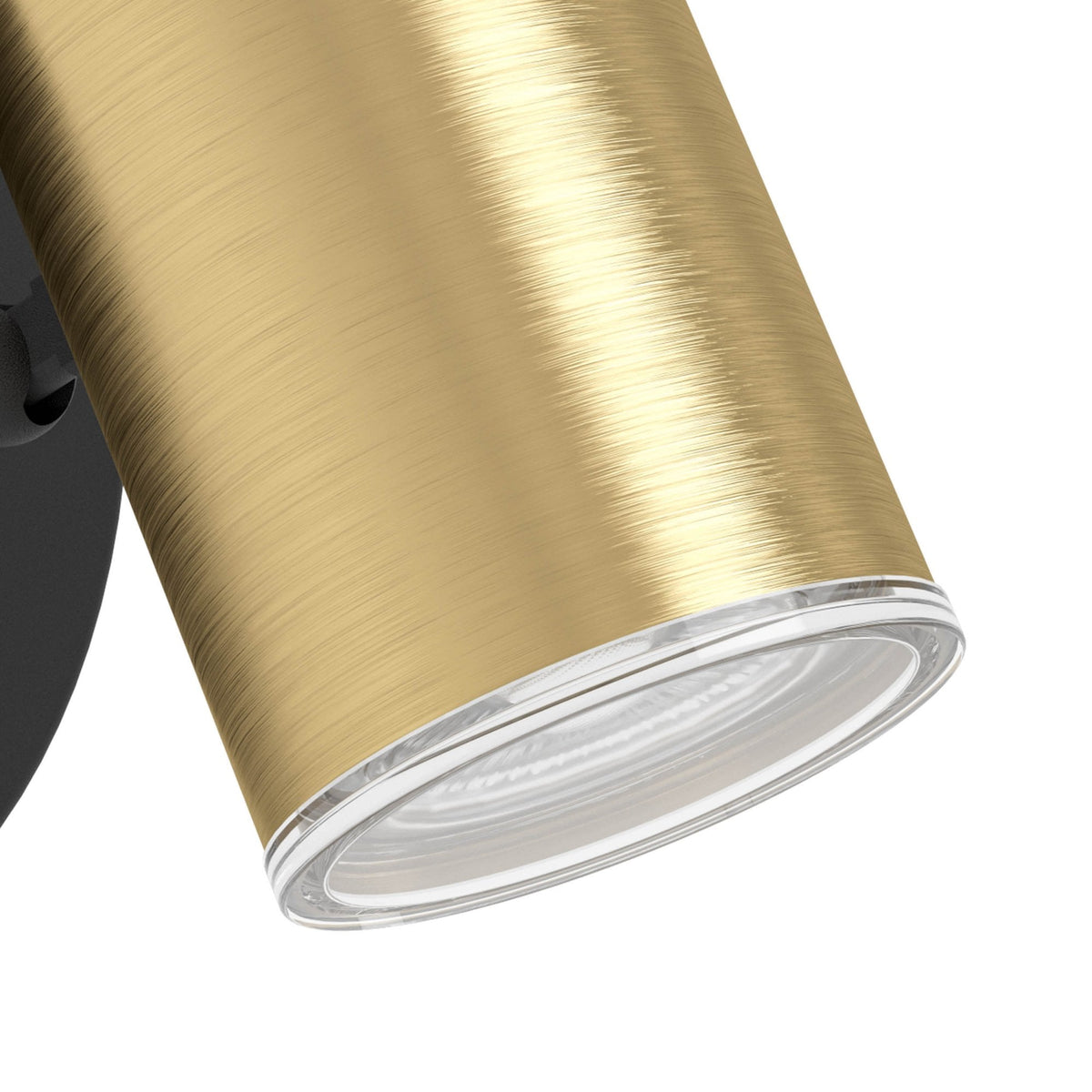 Consuma 1 IP44 Single Spotlight in Black and Brushed Brass