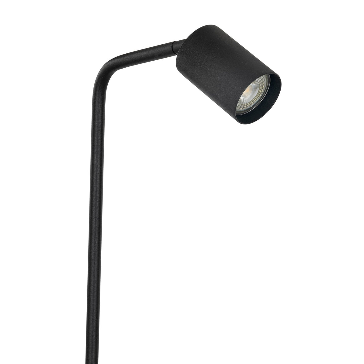 Rigomagno Fixed Head Floor Lamp in Black