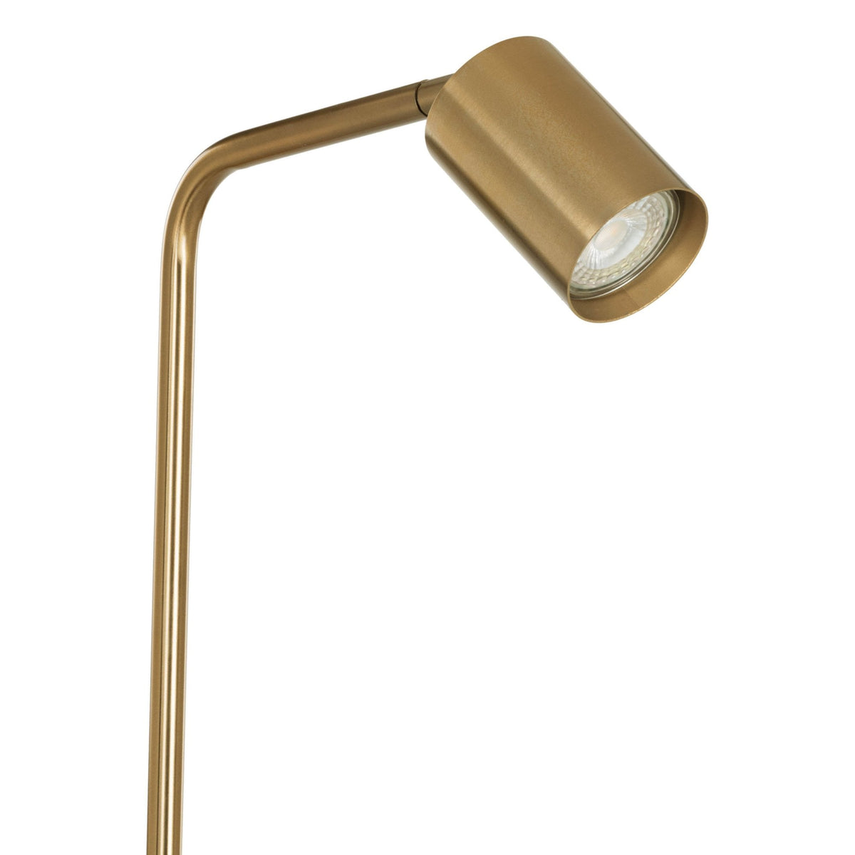 Rigomagno Fixed Head Floor Lamp in Brushed Brass