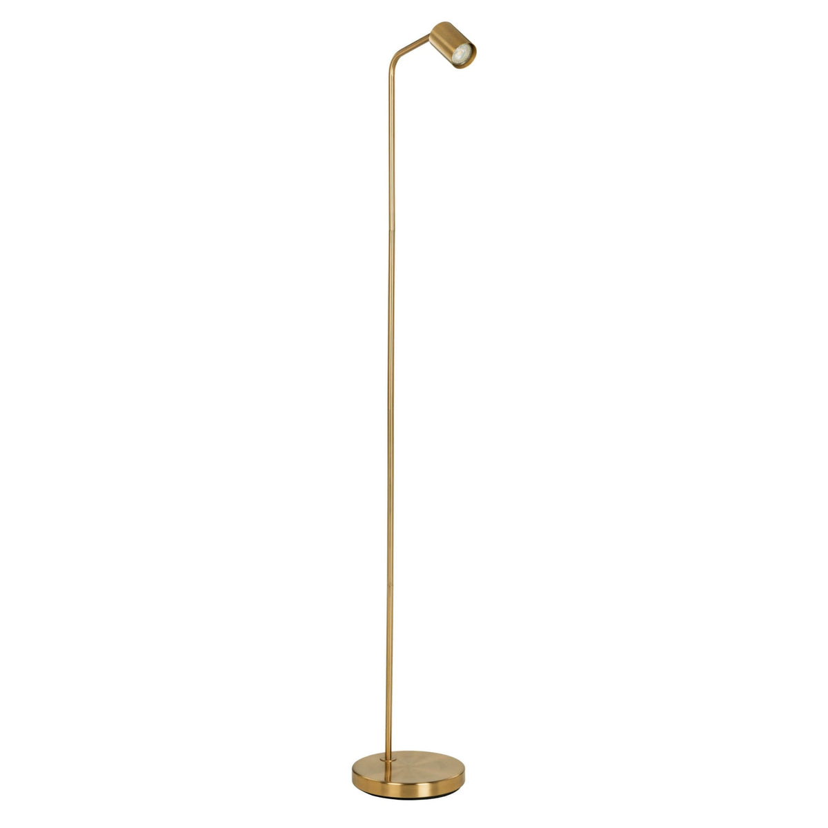 Rigomagno Fixed Head Floor Lamp in Brushed Brass