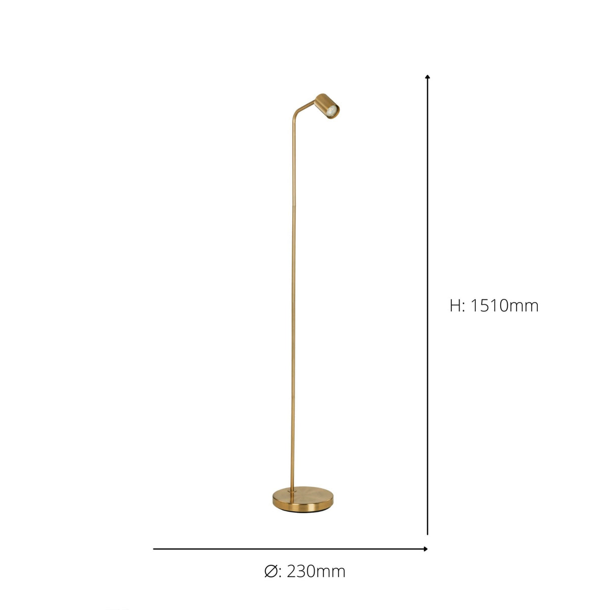Rigomagno Fixed Head Floor Lamp in Brushed Brass