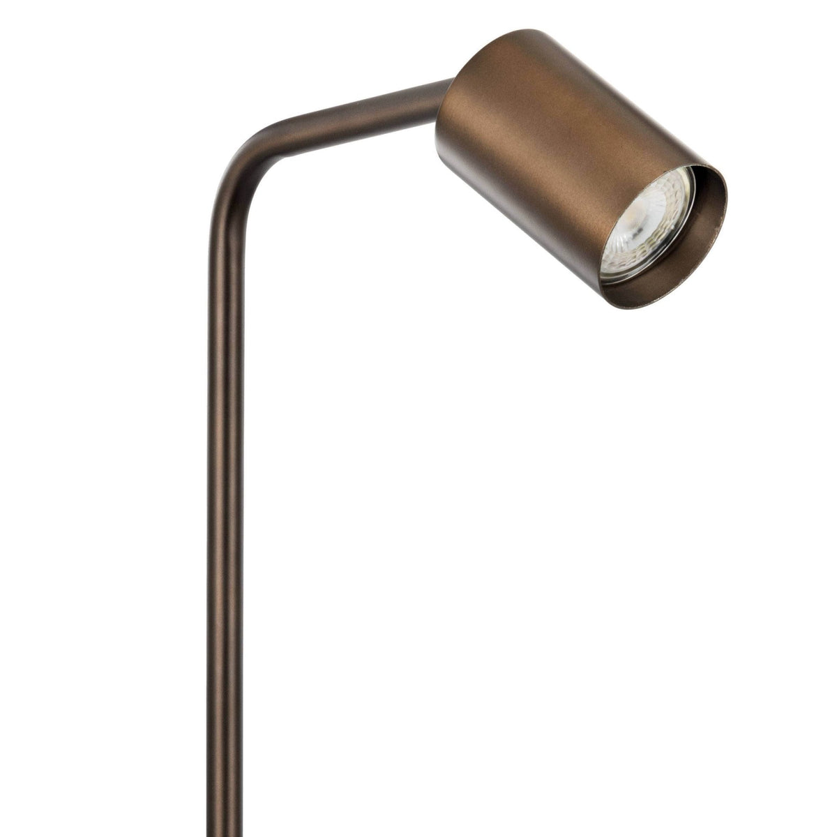 Rigomagno Fixed Head Floor Lamp in Brushed Bronze