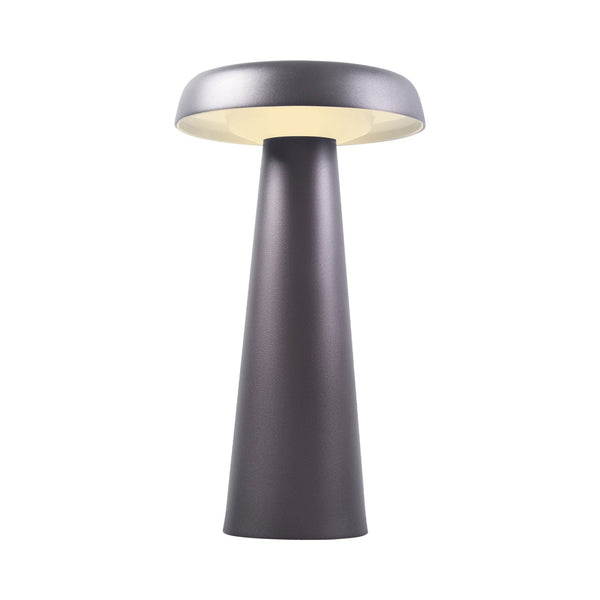 Arcello LED Portable Table Lamp in Anthracite