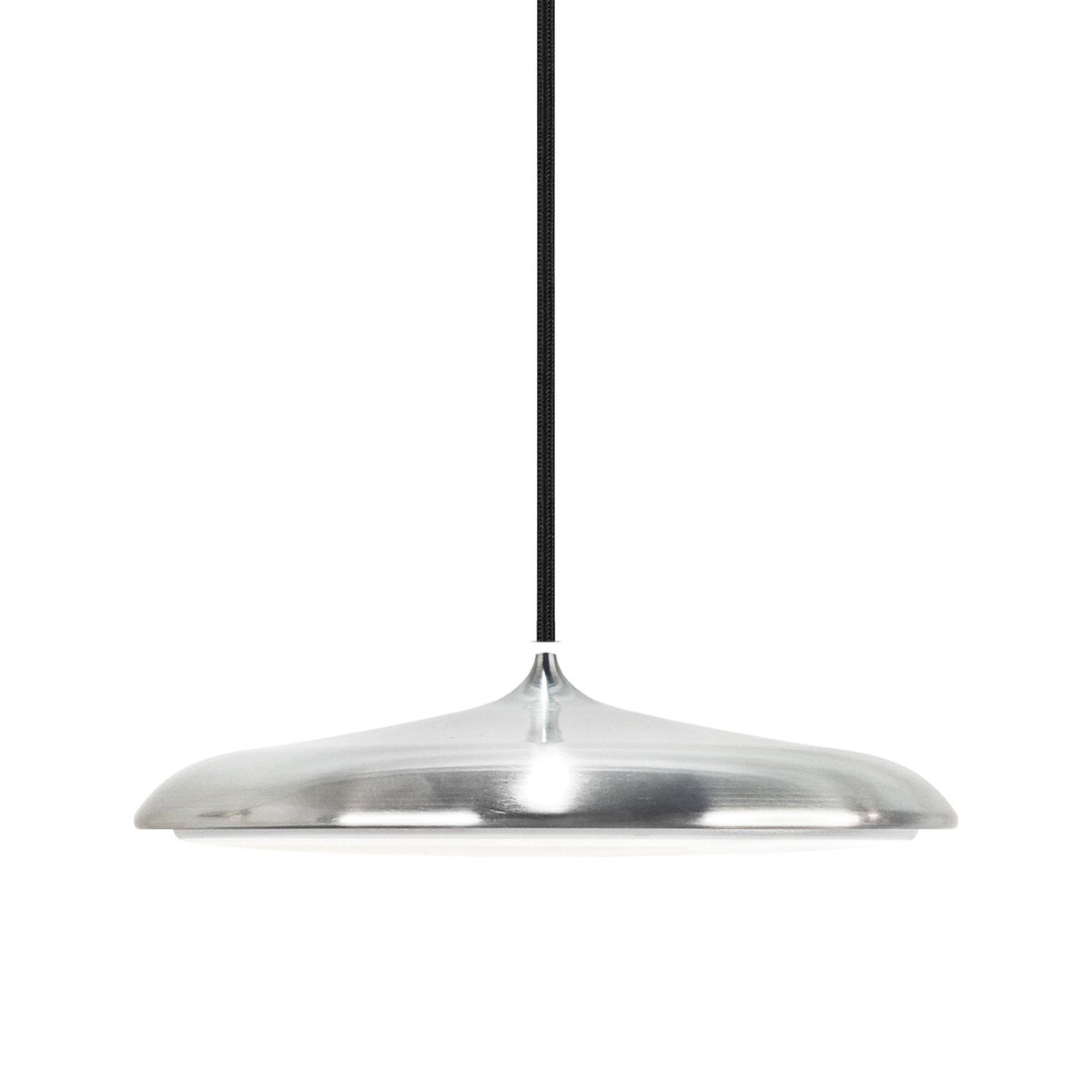 Artist 25 LED Pendant in  Stainless Steel