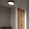 Kaito 2 Pro 40 Adjustable LED Ceiling Light in Black
