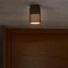 Sidara Coastal Surface Mounted Ceiling Light In Black