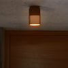 Sidara Coastal Surface Mounted Ceiling Light In Metallic Brown