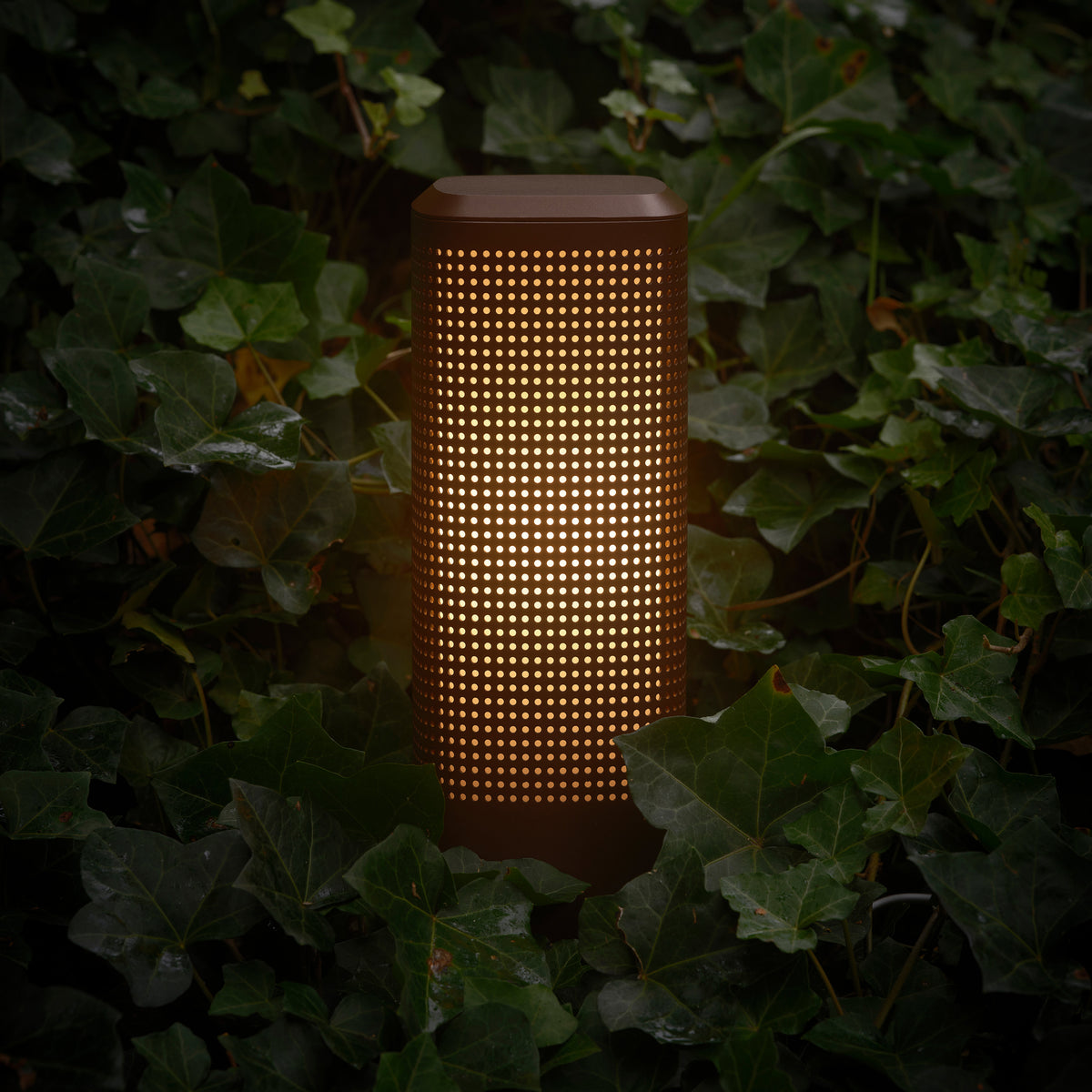 Brown cylindrical outdoor light with perforated pattern glowing among green ivy leaves