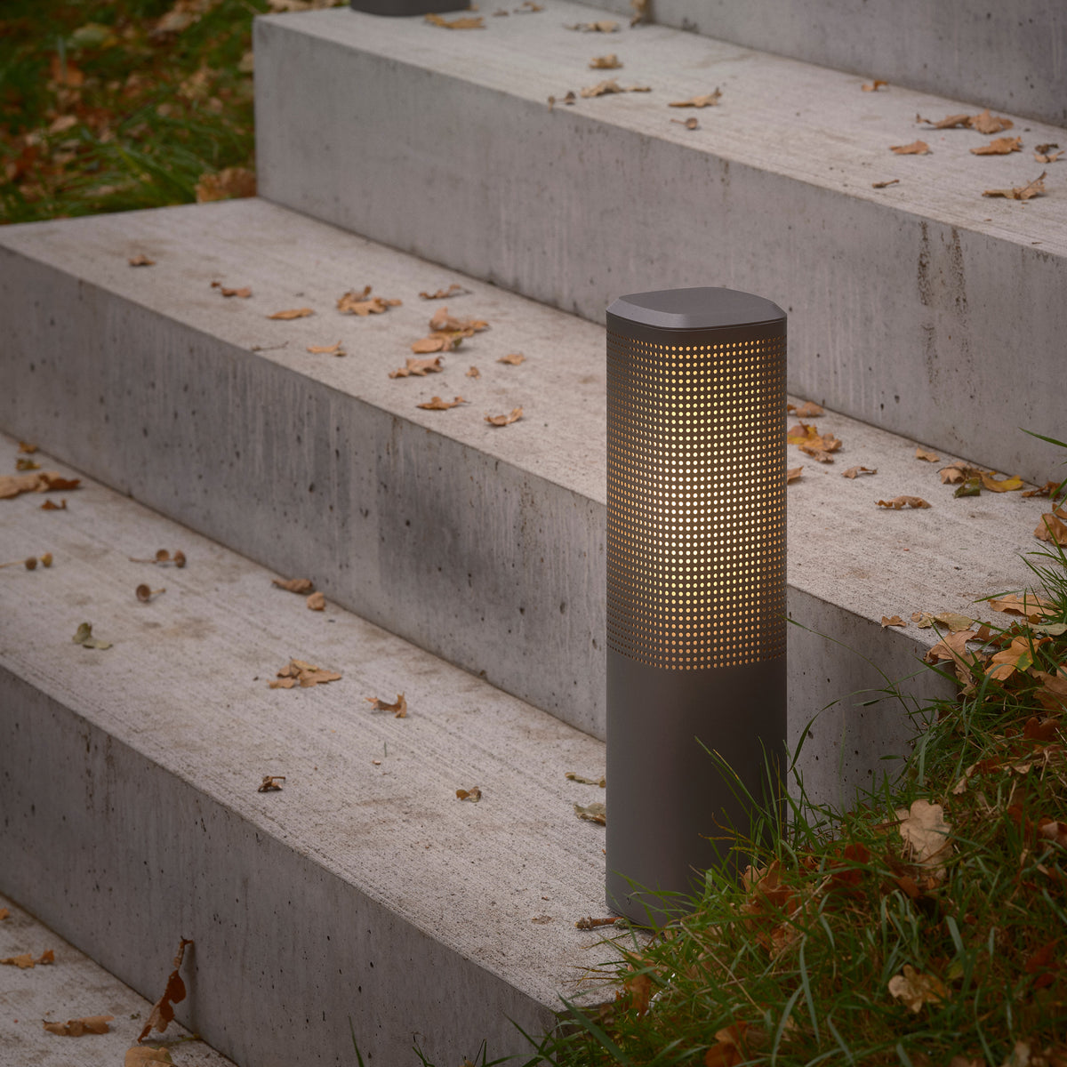 Bollard light with perforated shade on concrete steps with fallen leaves and grass
