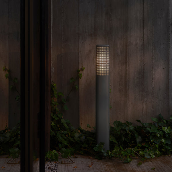 A grey cylindrical outdoor light with a perforated top half, illuminating a concrete wall and ivy plants