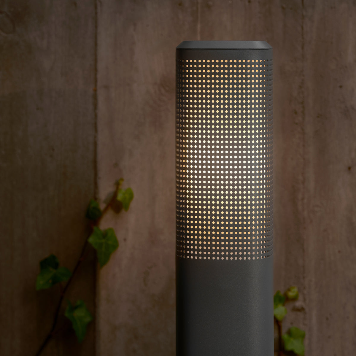 Perforated outdoor light with warm glow against a concrete wall with ivy
