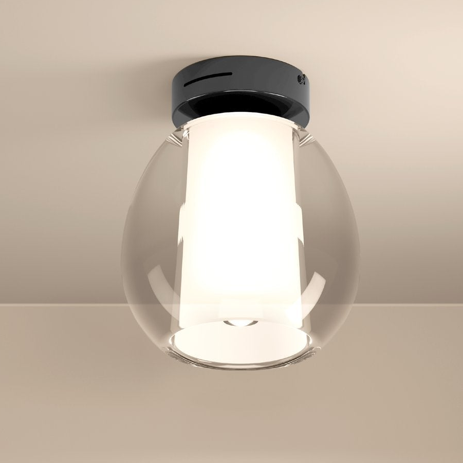 Black and clear glass ceiling light fixture with a white inner diffuser