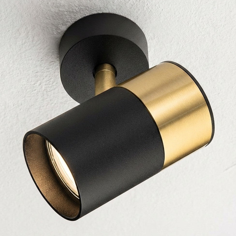 Black and gold ceiling spotlight
