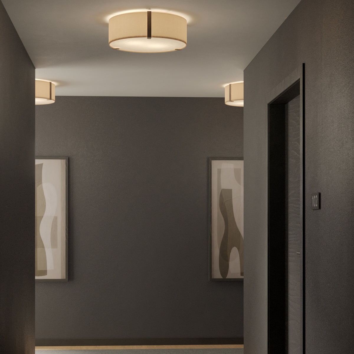Hallway with dark grey walls and three ceiling lights, two framed abstract artworks, and a door with number 102