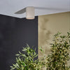 Kos Surface Mounted Coastal Round Downlight in Matt Concrete