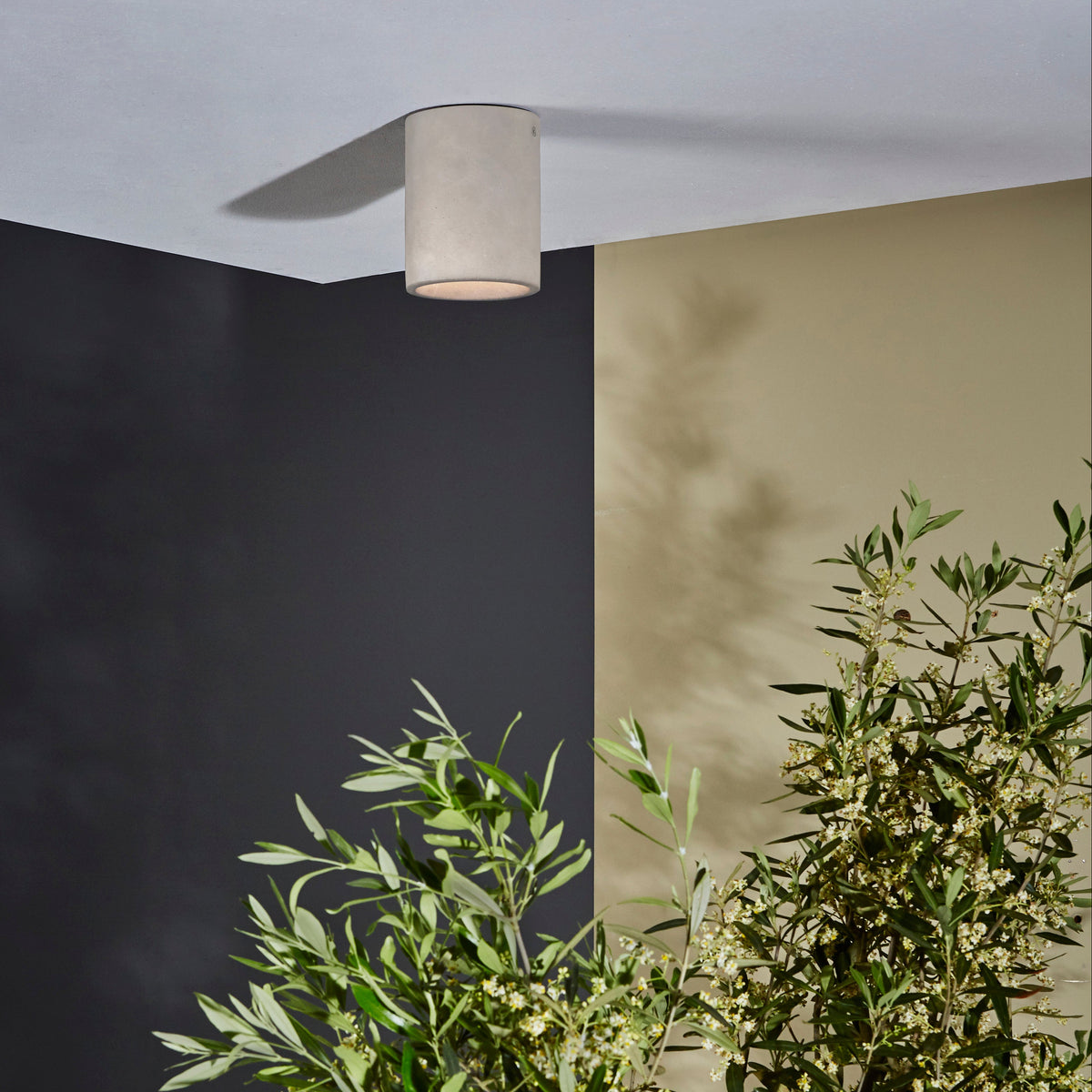 Kos Surface Mounted Coastal Round Downlight in Matt Concrete