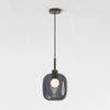 Pendant in Bronze with Curve Glass 220 Shade in Dark Smoke