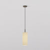 Pendant in Bronze with Tube 135 Pendant Shade in Putty