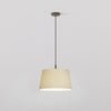 Pendant in Bronze with Tapered Round 400 Pleated Shade in Putty