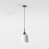 Pendant in Bronze with Camden 220 Shade in Matt White with Brass Detail