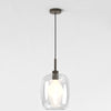 Pendant in Bronze with Curve Glass 285 Shade in Clear Glass